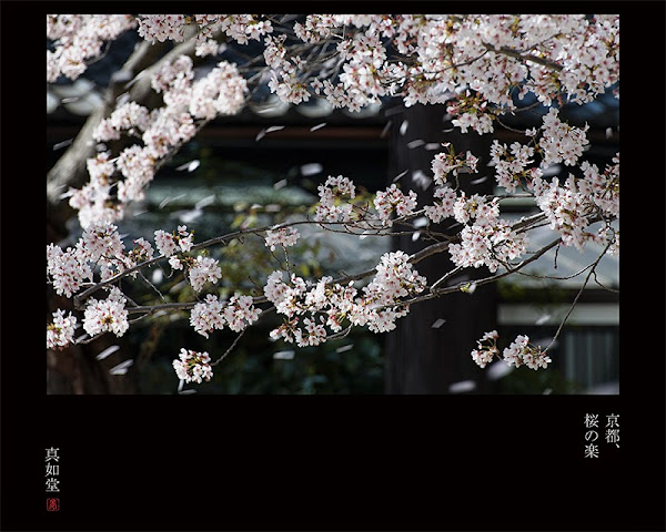 京都真如堂