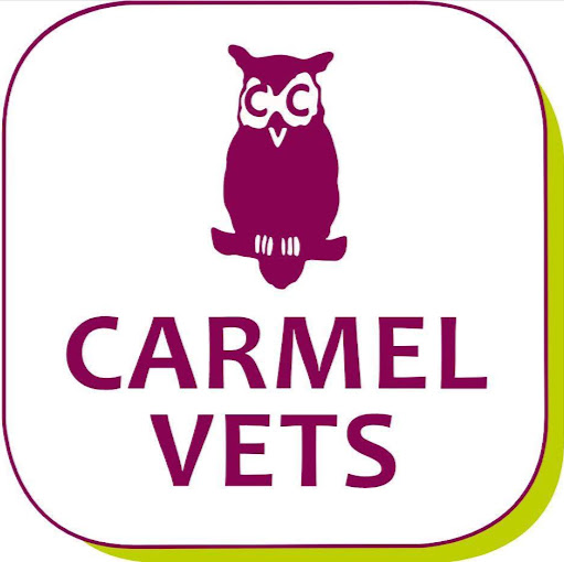 Carmel Vets, Fallings Park logo