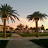 Shay Shy avatar image