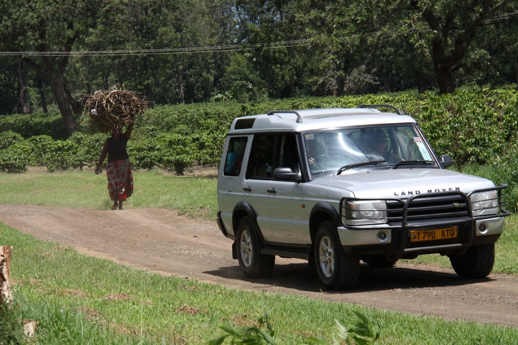 Отчет о путешествии в Танзанию (Сафари- Килиманджаро- Занзибар) Декабрь 2012- Январь 2013
