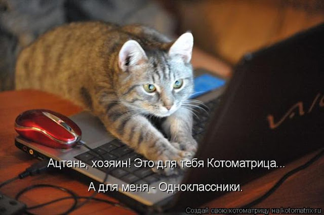 Поговорим о любви… часть 2 (женская точка зрения) Поговорим о любви… часть 2 (женская точка зрения)