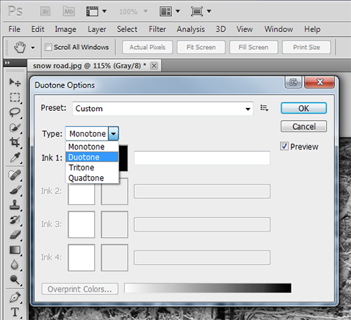 How To Create Beautiful Duotone Images In Photoshop