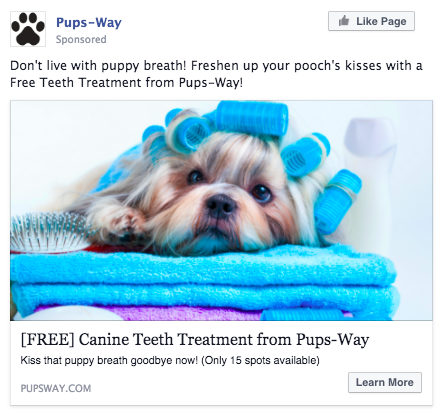  Facebook Pet Products eCommerce