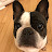 Jesse Dercks avatar image