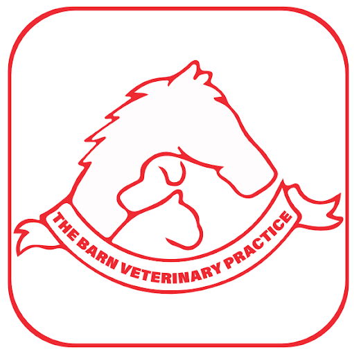 The Barn Veterinary Practice
