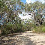 Perimeter Trail near Terrey Hills (306182)