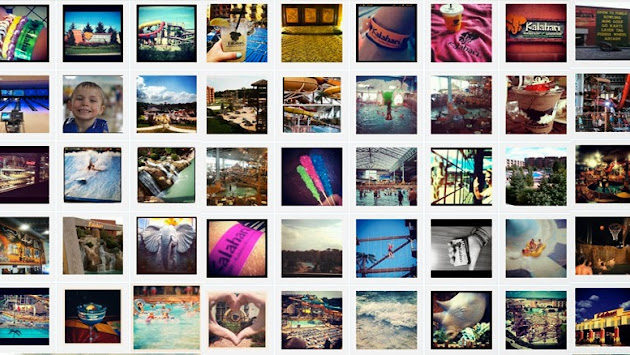 Cover photo