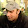 Arash ELa Arash ELa's profile photo