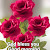 Nisha