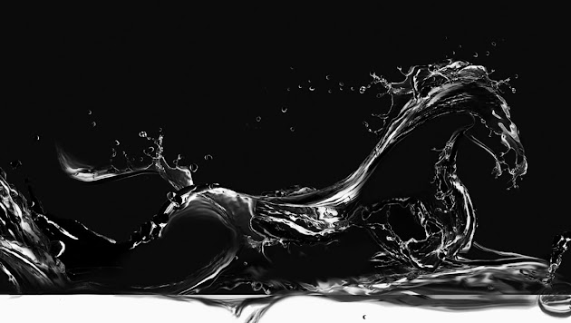 Cover photo