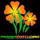 MamaTato.Org