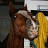 Jeana Whitman avatar image