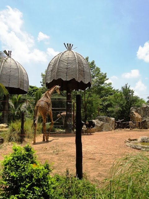 Майский Тай (Бангкок-Самуи-Тао)