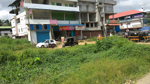 Thrissur District Cooperative Bank, Tekkara Building, First Floor, Peechi Road Junction, Pattikad, Pananchery, Kerala 680652, India, Bank, state KL