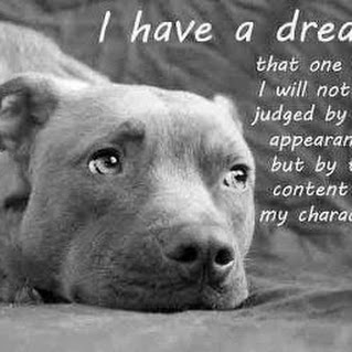 Cute Pit Bull Quotes. QuotesGram