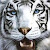 ....tigre