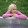 Светлана Привалова Светлана Привалова's profile photo
