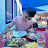 Shaunak Kar avatar image