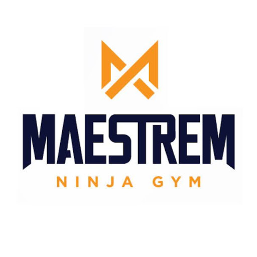 Maestrem Ninja Gym logo