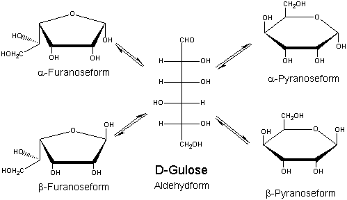 ciclación glucosa