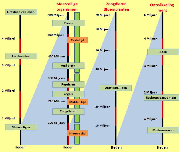 evolutie tijdlijn