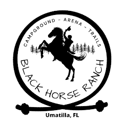 Blackhorseresortranch - logo