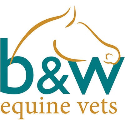 B&W Equine Group - Failand logo