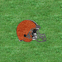 Samsung%252520Reality%252520Cleveland%252520Browns.jpg