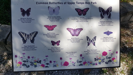 Park «Upper Tampa Bay Park (Attempted Site 3)», reviews and photos, Double Branch Rd, Tampa, FL, USA