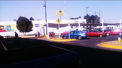 Photos of Coppel Enriquez