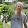 Bruce MacDonald Bruce MacDonald's profile photo