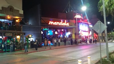 night-club