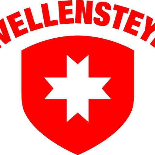 Wellensteyn Berlin Schloßstraße logo