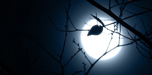 Chùm thơ Tình: Ánh trăng trong đêm mùa Thu