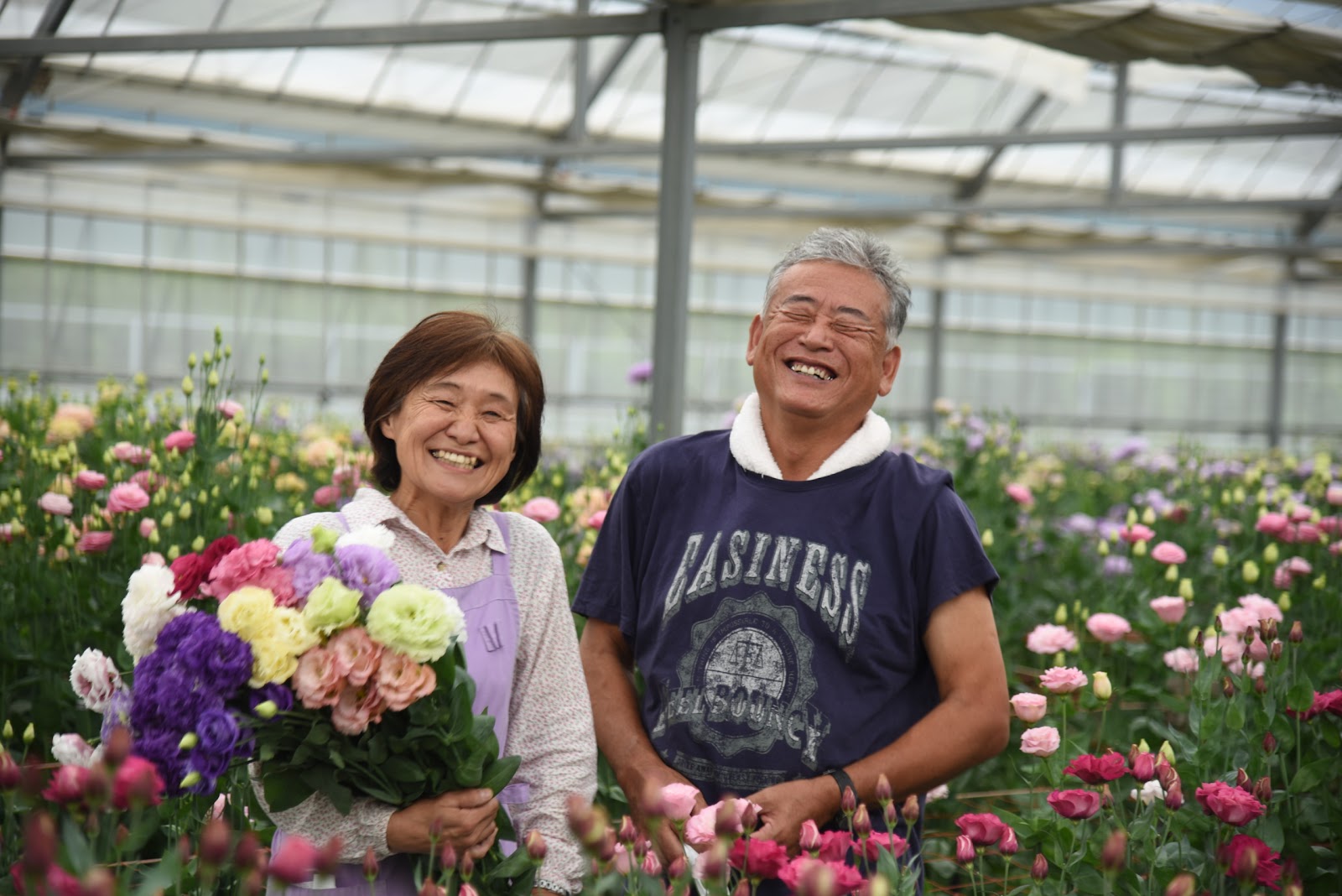 今回は 松井農園さんの特集です 花を買って産地を応援 花でつながる笑顔プロジェクト 豊橋のお花応援するゾ実行委員会 07 28 投稿 クラウドファンディング Readyfor レディーフォー