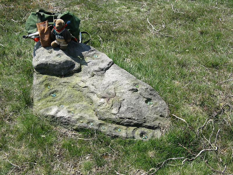 some local rock art IMG_7476