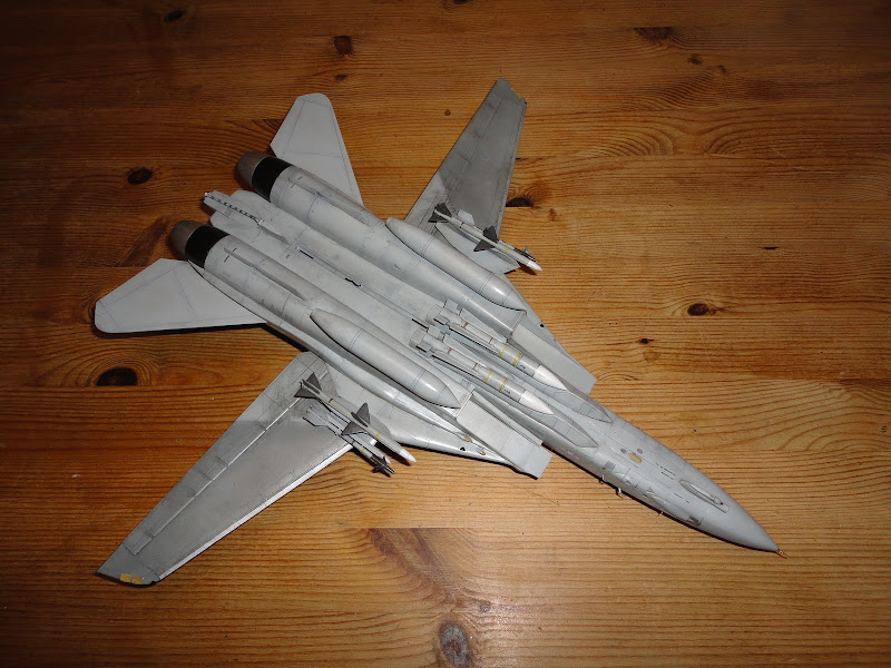 Hasegawa 1/48 F-14A+ of VF-74 (PT12) DSC00838