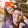 Robby Payne Robby Payne's profile photo