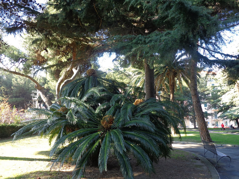 А включите-ка мне усилители качки! А подайте-ка белых пиджаков. Costa Paсifica февраль 13г