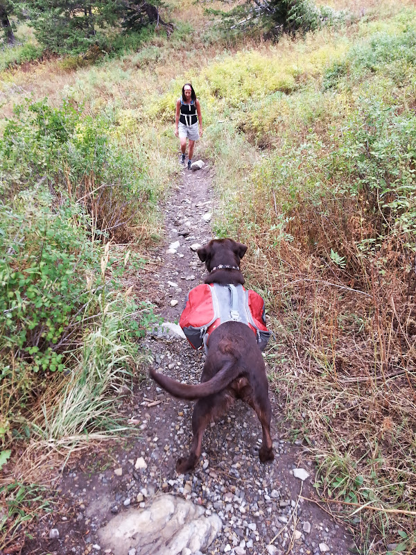 20130908_141159.jpg