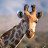 devx fred avatar image