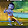 Bittu P Bittu P's profile photo