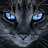Ferdi Goldschagg avatar image