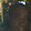 Claudia Whyte Claudia Whyte's profile photo