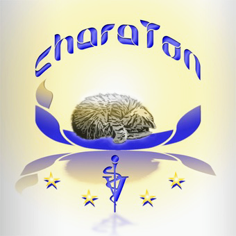 CHARATON logo