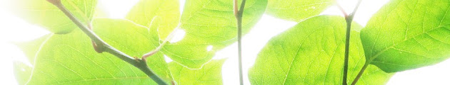 Cover photo