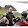 Matt Harston Matt Harston's profile photo