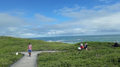 Photos of Shoalwater Foreshore Reserve