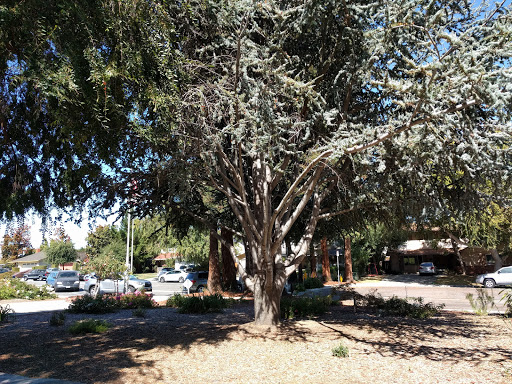 Park «Ortega Park», reviews and photos, 636 Harrow Way, Sunnyvale, CA 94087, USA