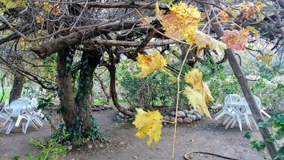 Photos of lahmidi